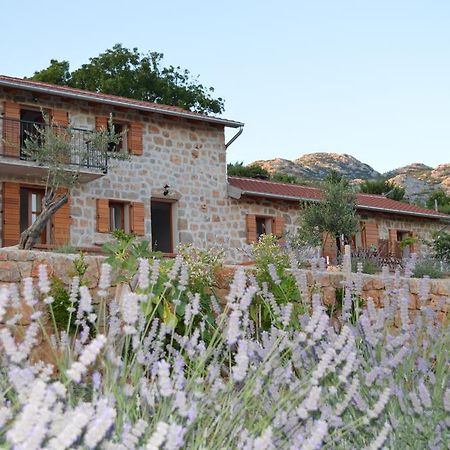 Villa Mara - Secluded House With Breathtaking View- Seline, Starigrad Paklenica Екстериор снимка