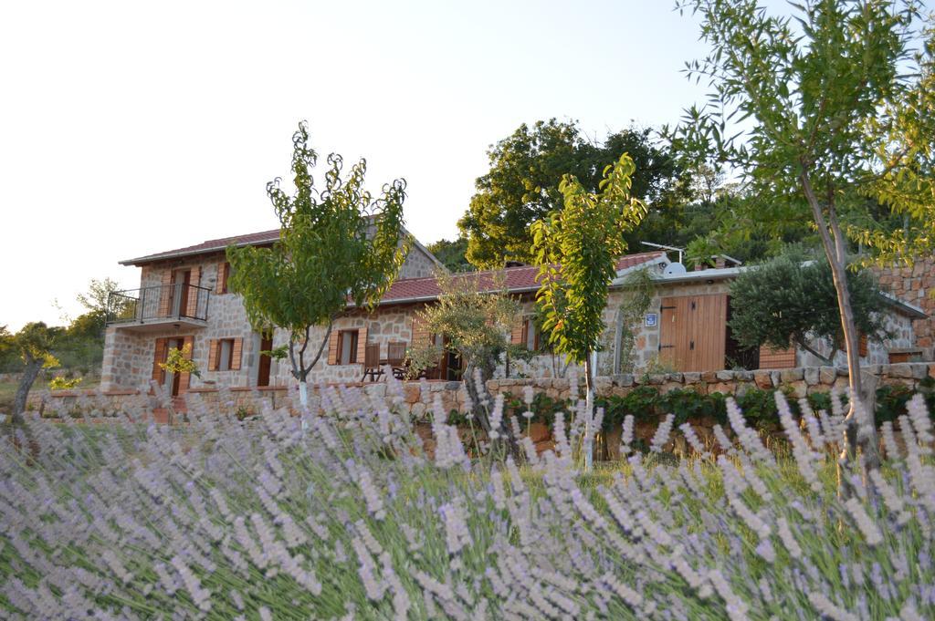 Villa Mara - Secluded House With Breathtaking View- Seline, Starigrad Paklenica Екстериор снимка